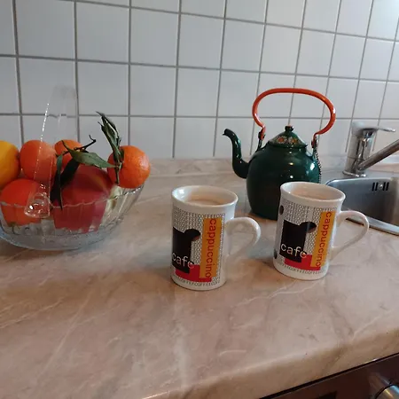 Centar Fužine